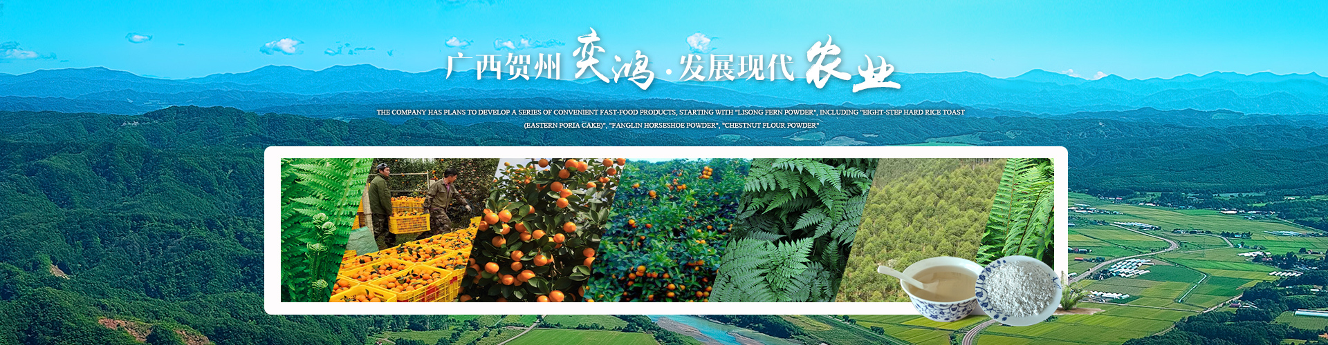 廣西賀州市奕鴻農業開發有限責任公司